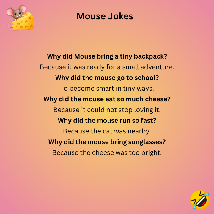Funny Mouse Jokes