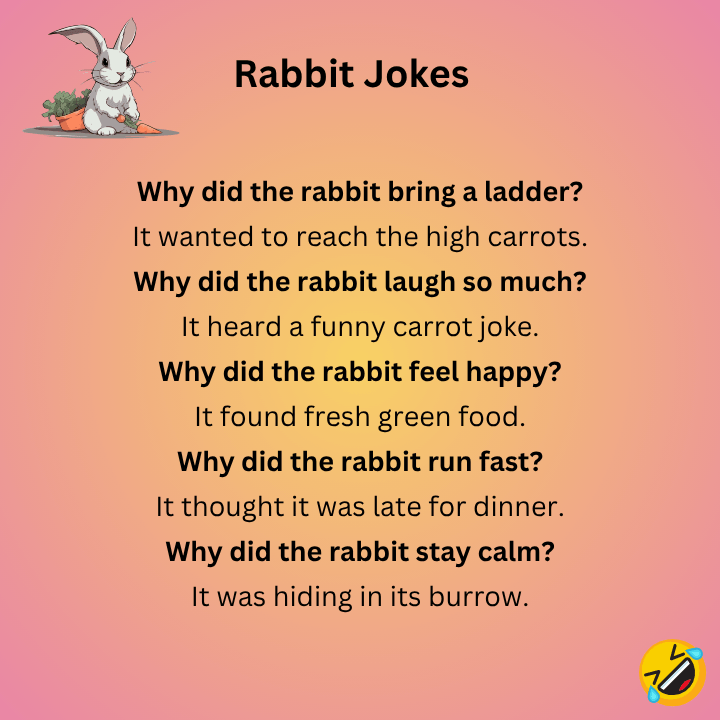 Funny Rabbit Jokes
