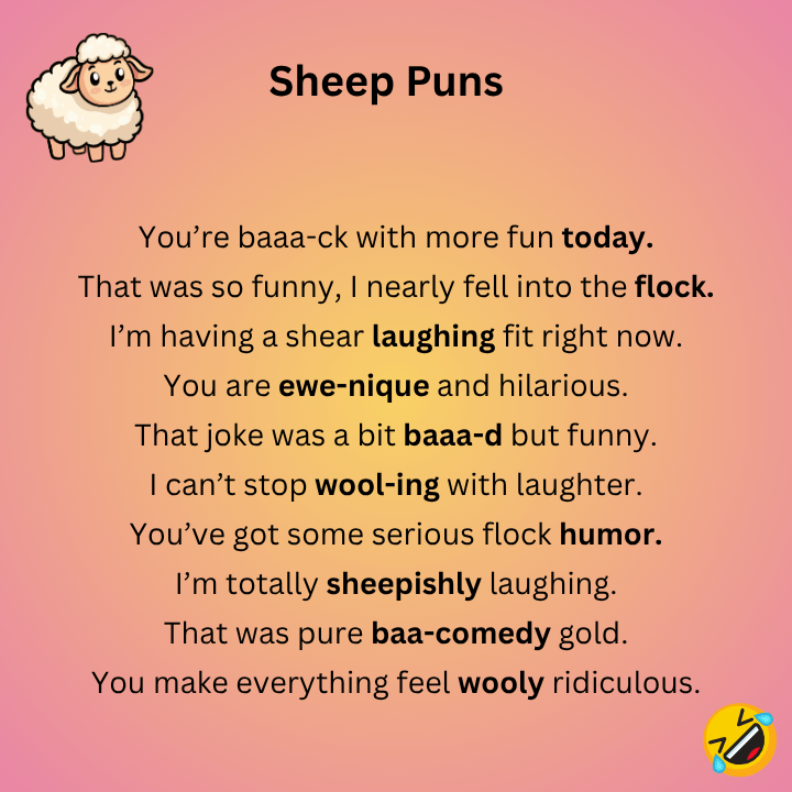 Funny Sheep Puns