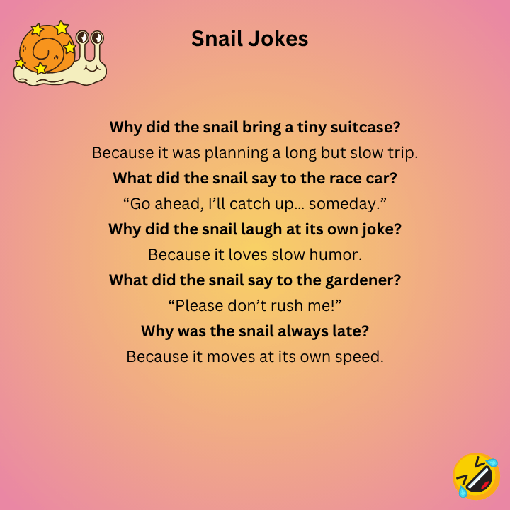 Funny Snail Jokes