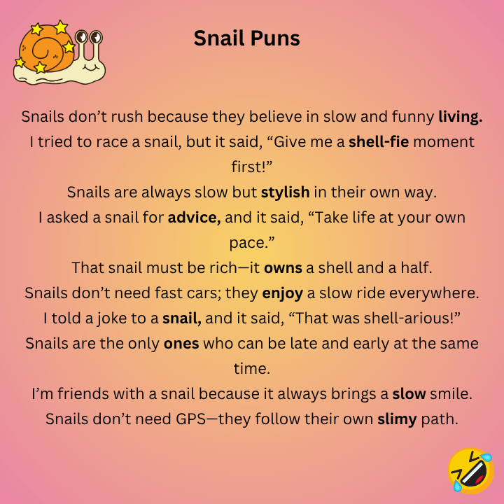 Funny Snail Puns