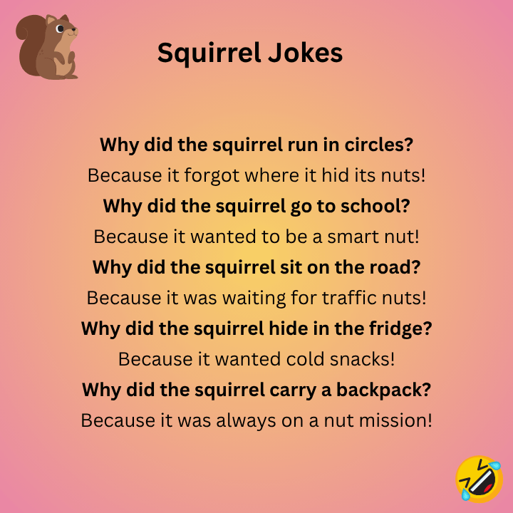 Funny Squirrel Jokes