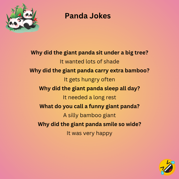 Giant Panda Jokes