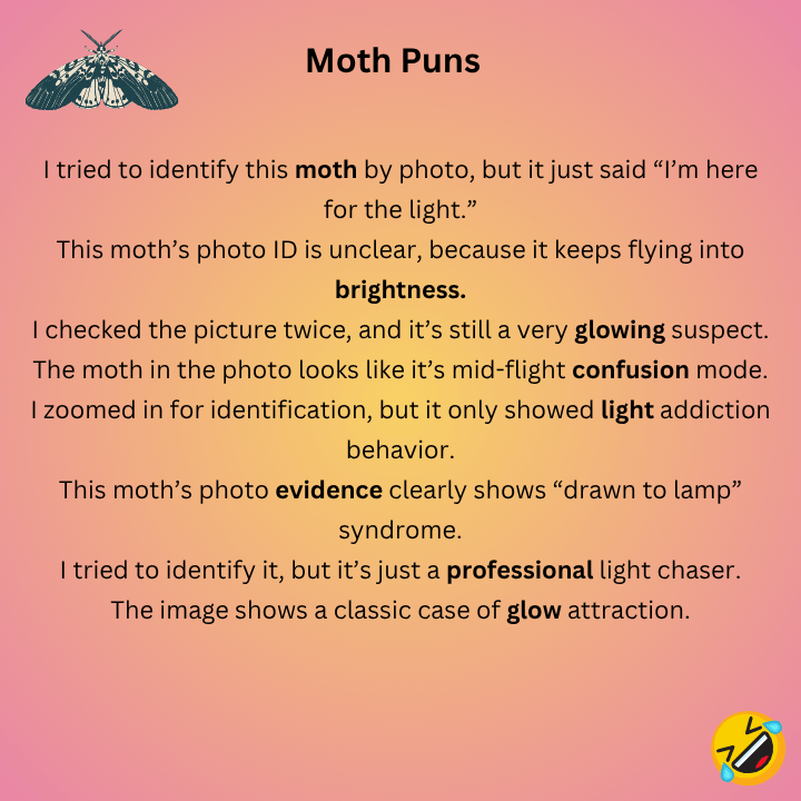 Moth Identification By Photos