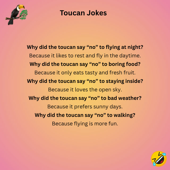 No But Toucan Jokes