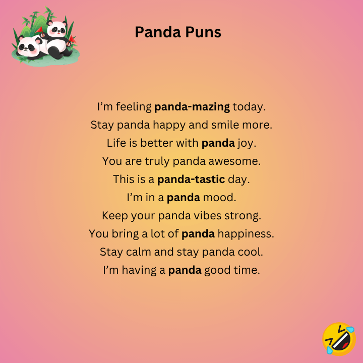 Panda Puns