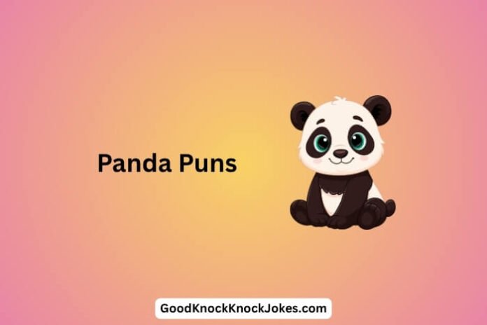 Panda Puns