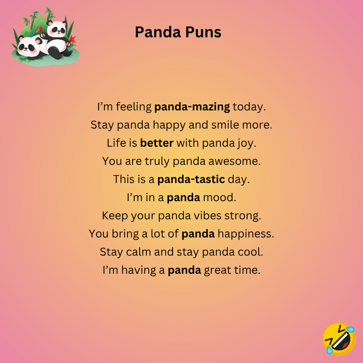 Panda Puns One Liners