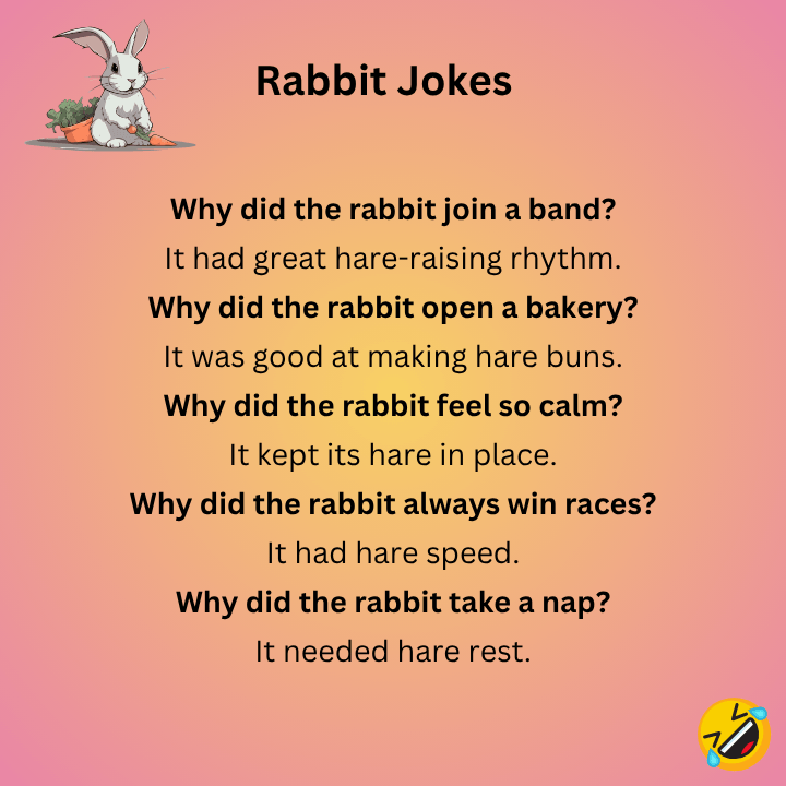 Rabbit Dad Jokes