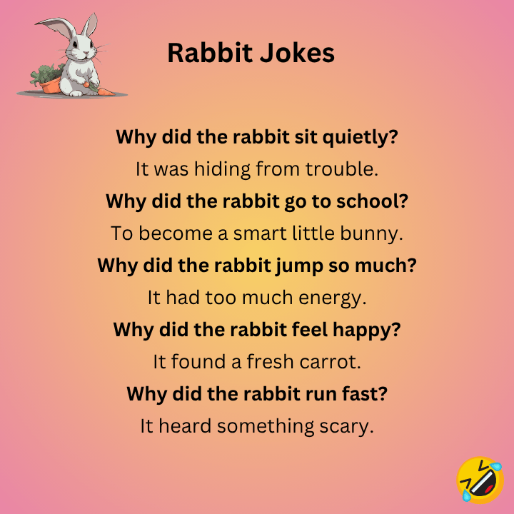 Rabbit Jokes