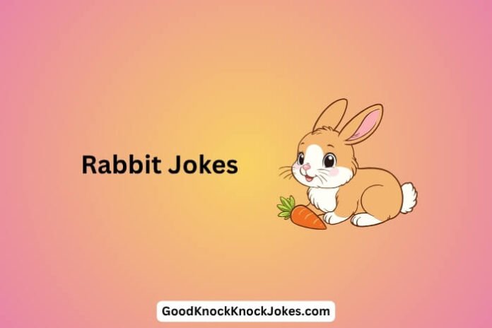 Rabbit Jokes