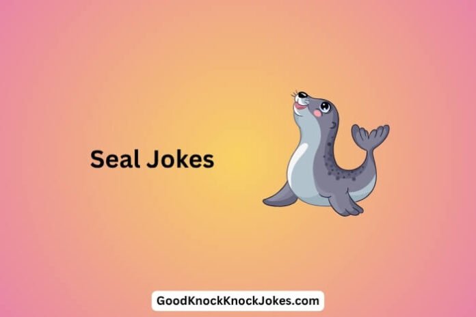 Seal Jokes
