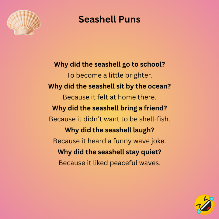 Seashell Jokes