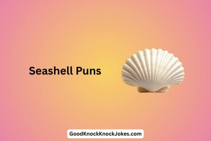 Seashell Puns
