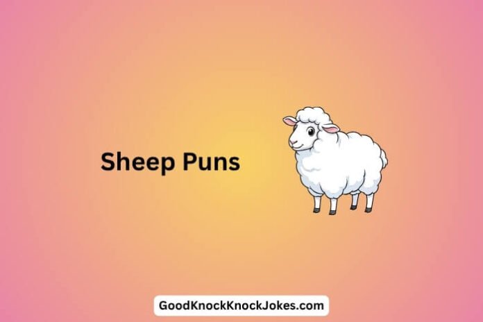 Sheep Puns