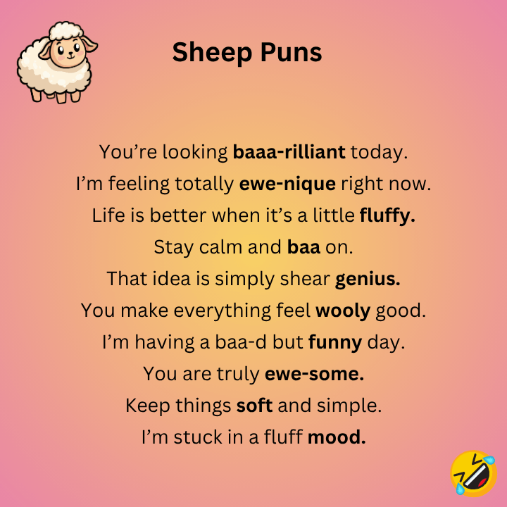 Sheep Puns One Liners