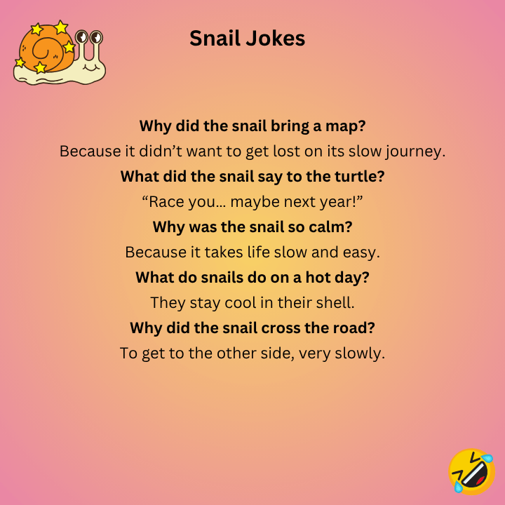 Snail Jokes
