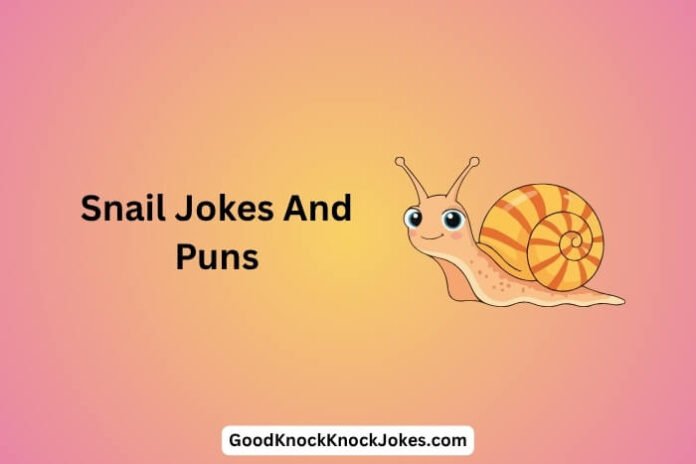 Snail Jokes