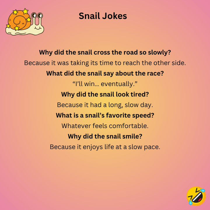 Snail Jokes One Liners