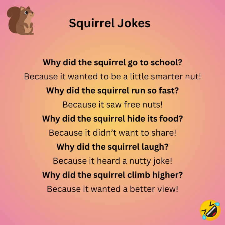 Squirrel Jokes