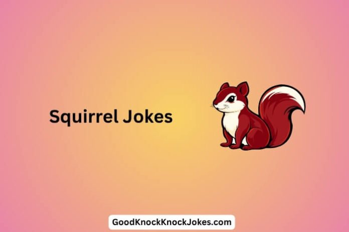 Squirrel Jokes