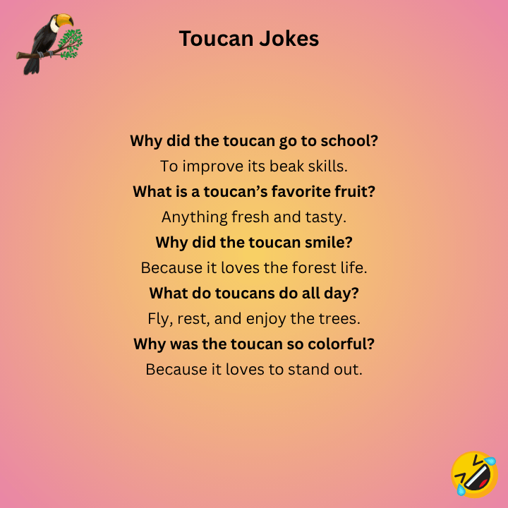 Toucan Jokes