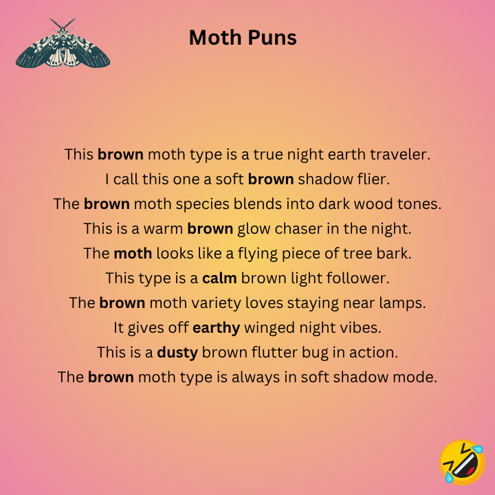Types Of Brown Moth