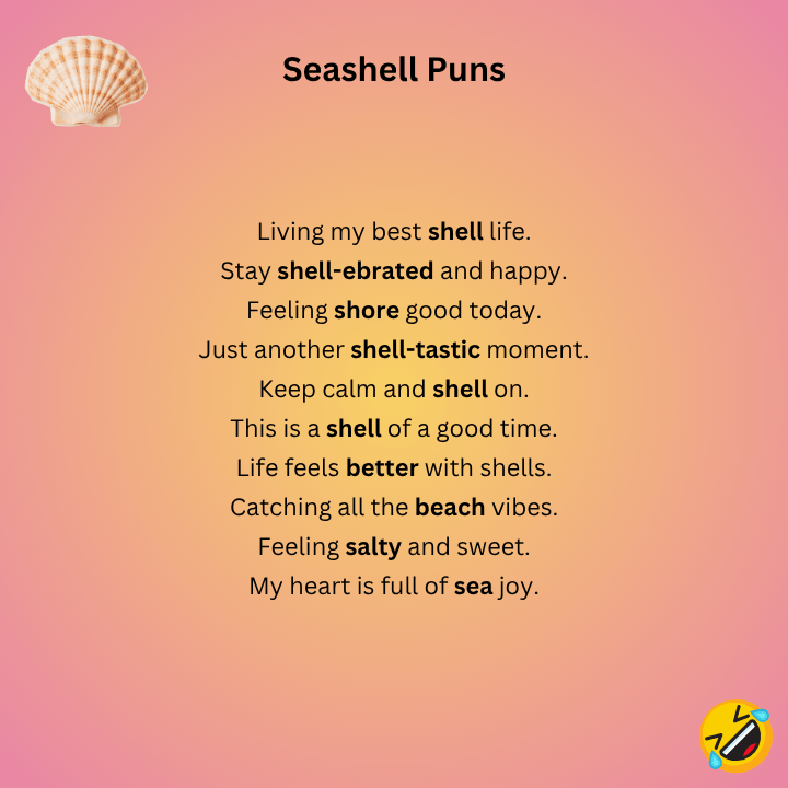 shell puns for captions