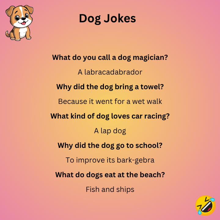 Dog Jokes