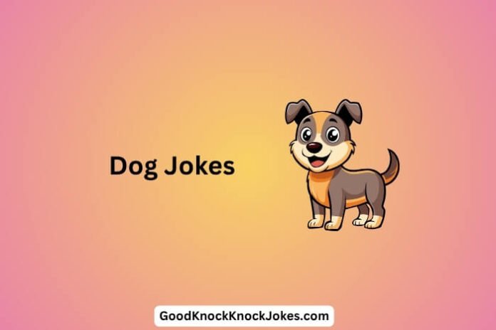 Dog Jokes