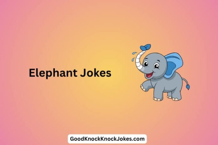 Elephant Jokes