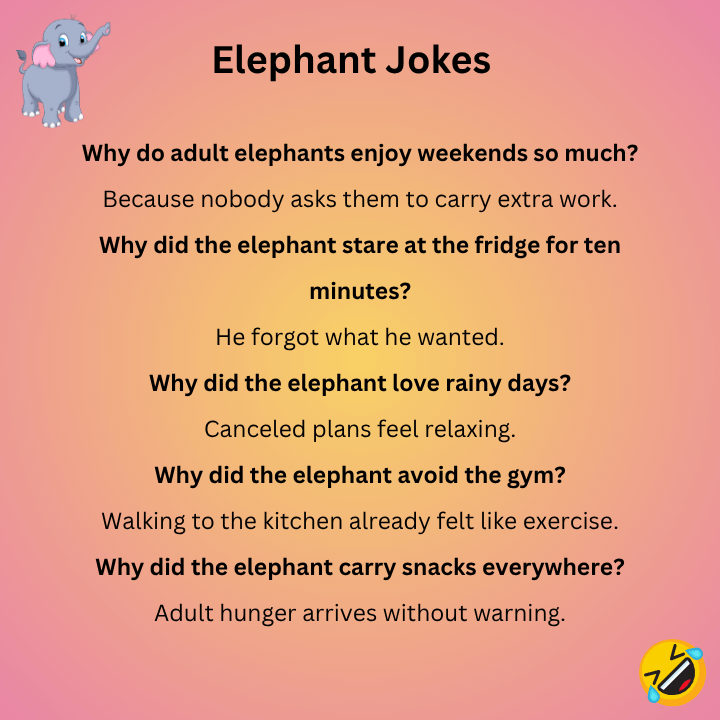Elephant Jokes For Adults