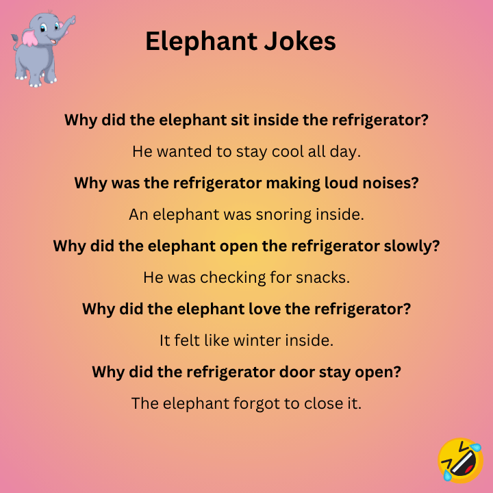 Elephant Jokes Refrigerator