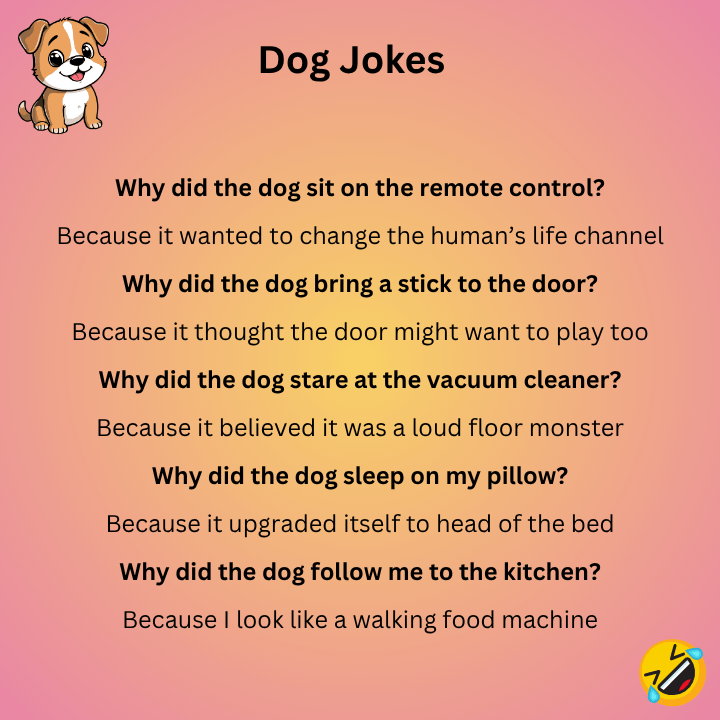 Funny Dog Jokes