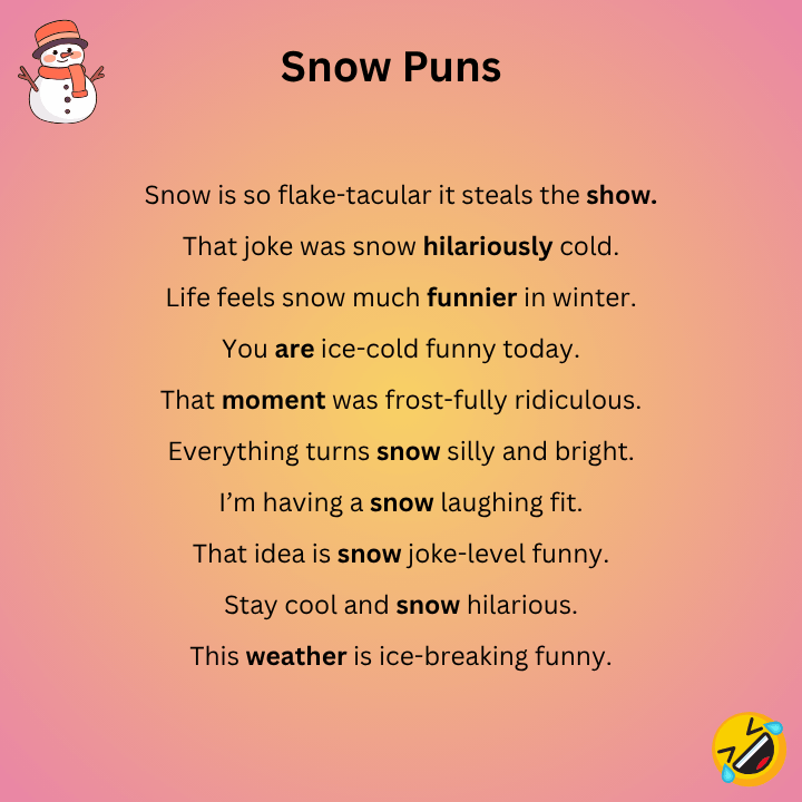 Funny Snow Puns