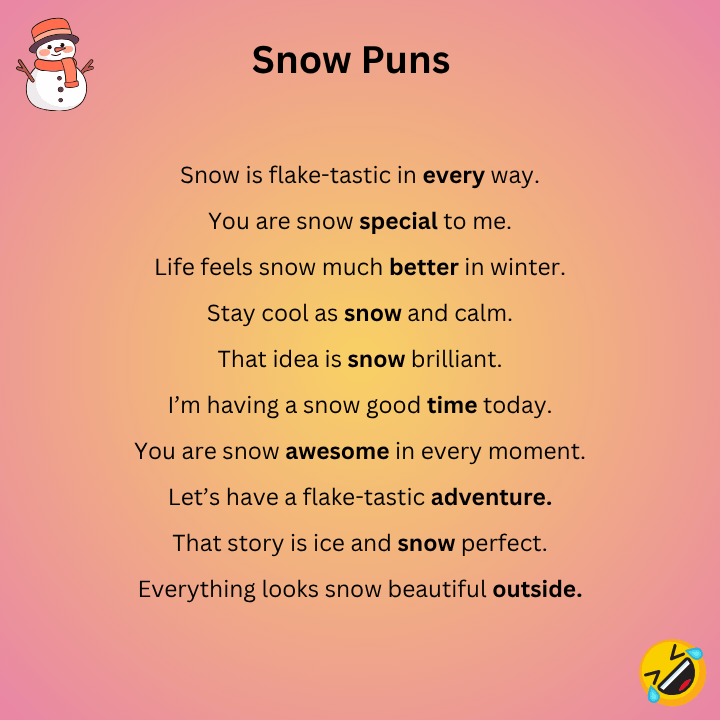 Snow Puns