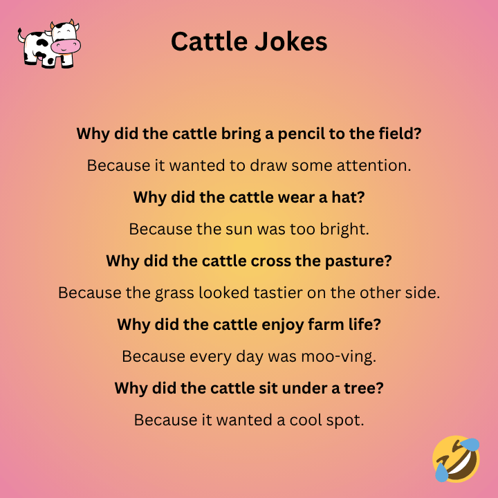 Best Cattle Jokes