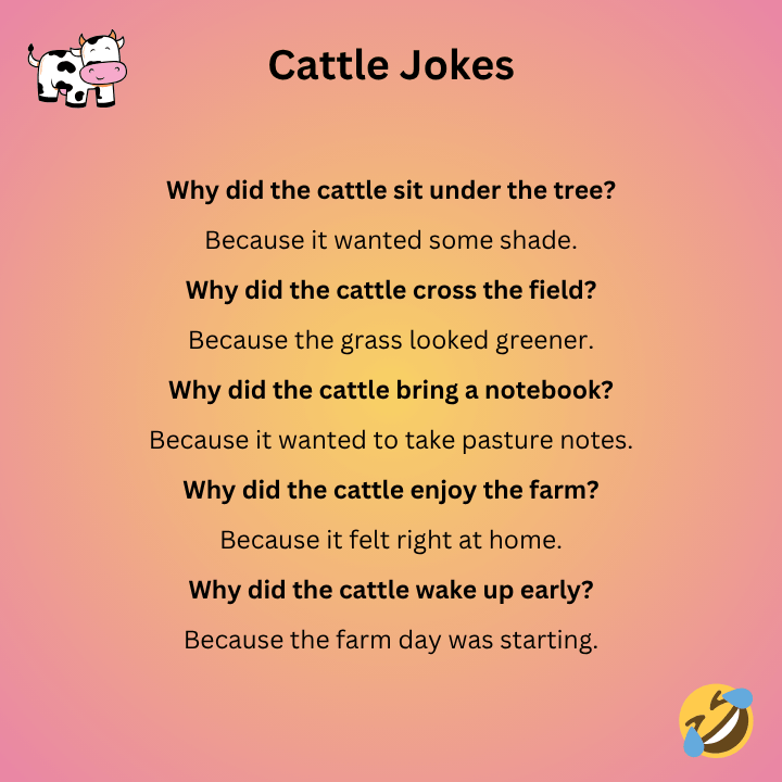 Cattle Jokes