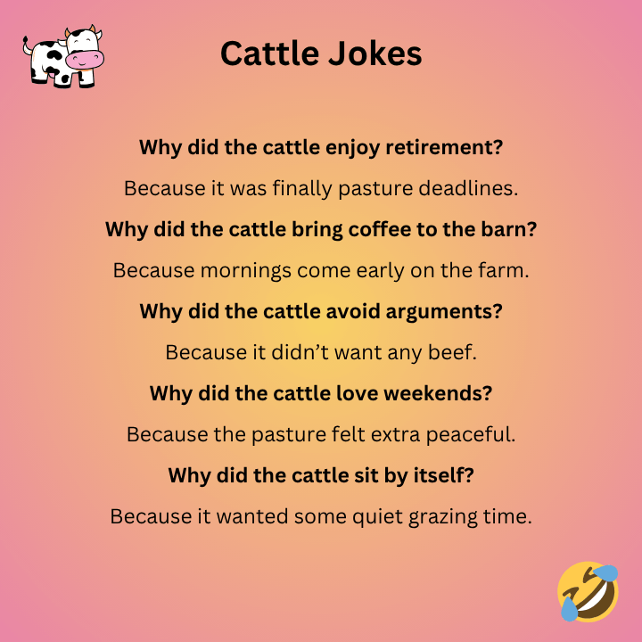 Cattle Jokes For Adults
