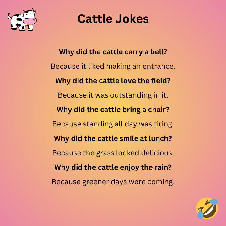 Cattle Jokes One Liners