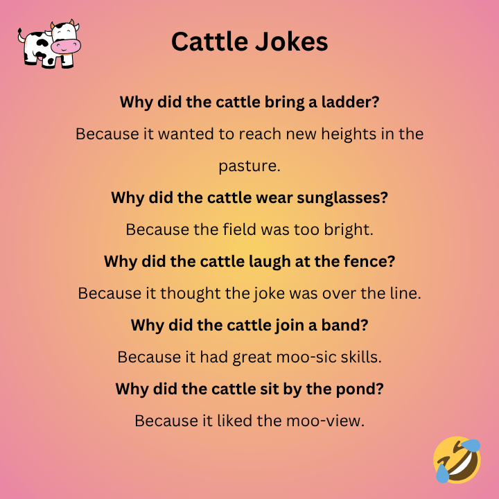 Funny Cattle Jokes