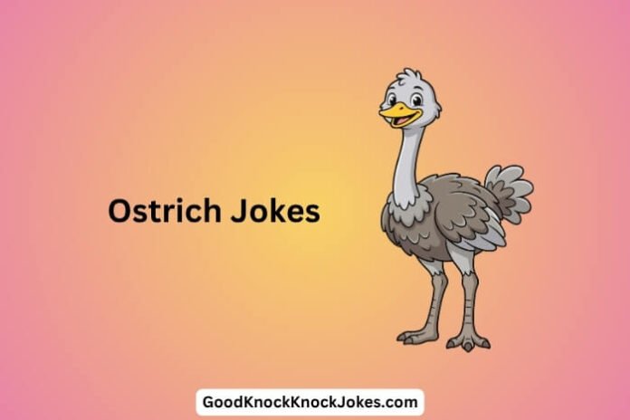 Ostrich Jokes
