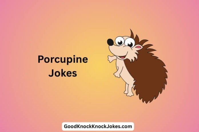 Porcupine Jokes