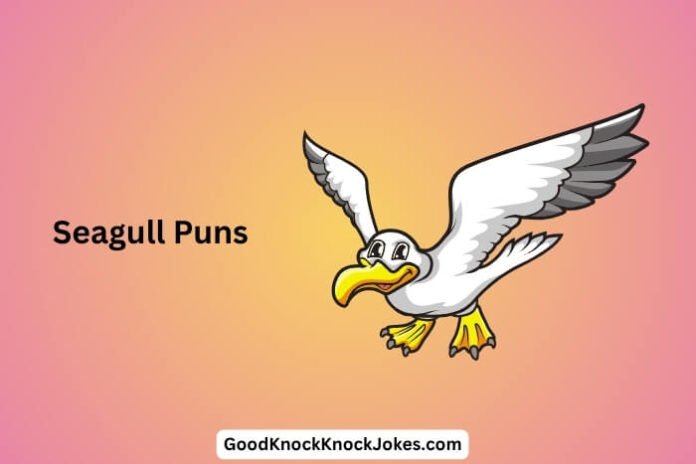 Seagull Puns