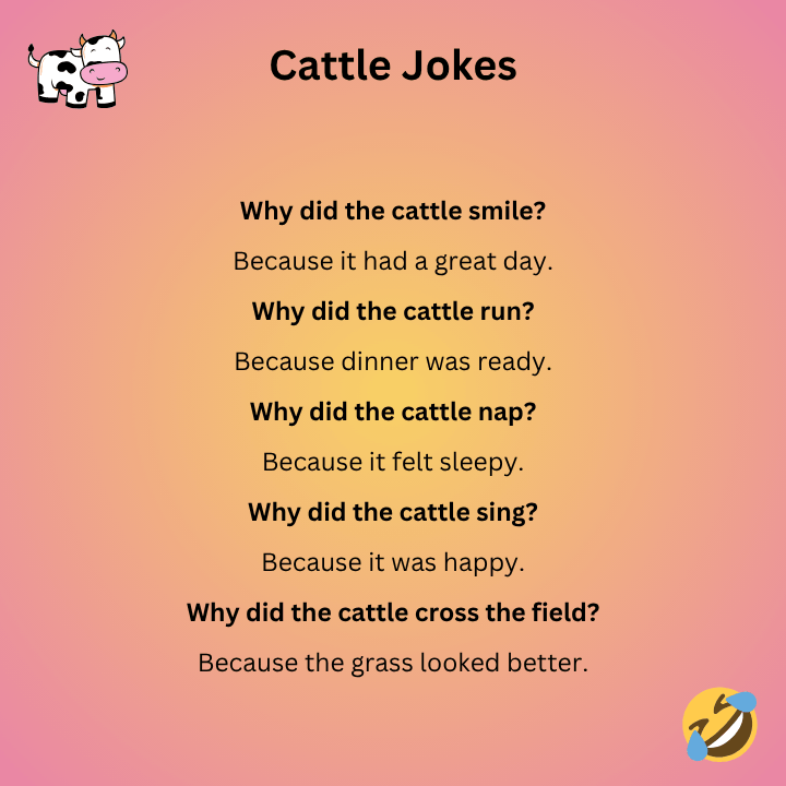 Short Cattle Jokes
