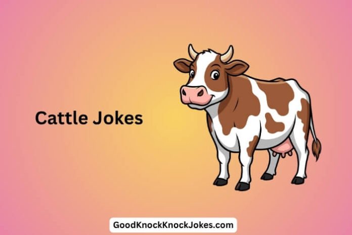 Cattle Jokes