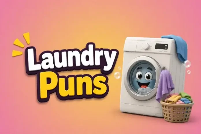 Laundry Puns