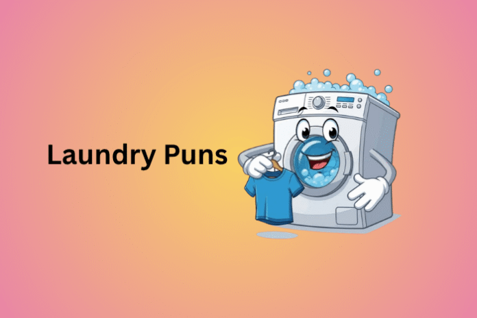 Laundry Puns