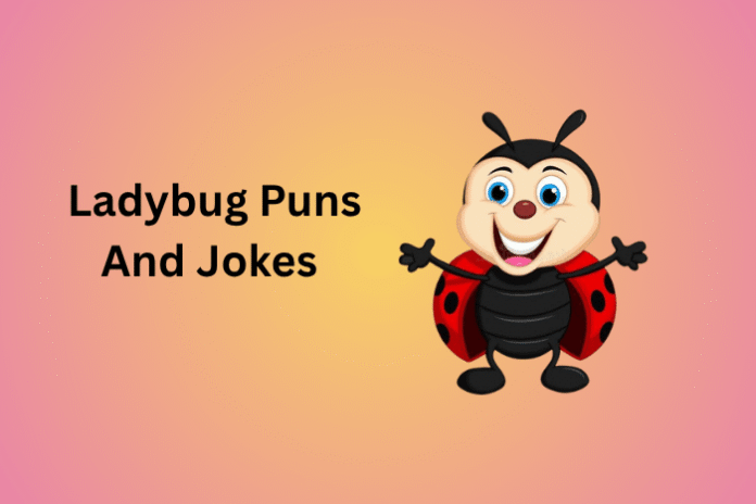 Ladybug Puns And jokes