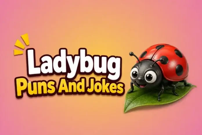 Ladybug Puns And Jokes